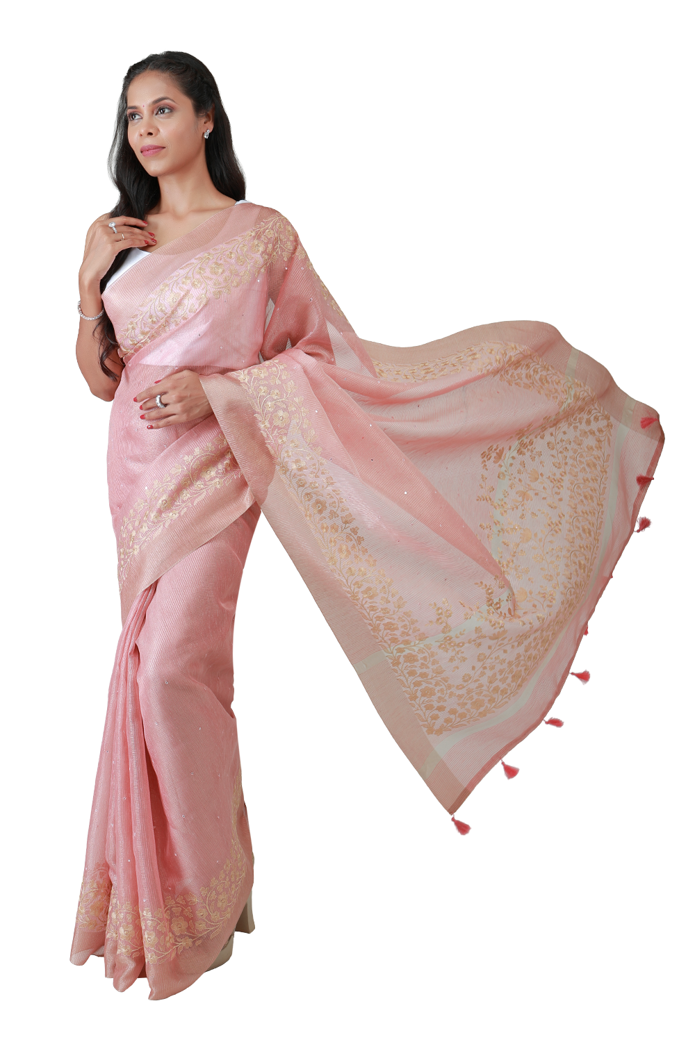 Gulnaar Kalamkari Tissue Saree